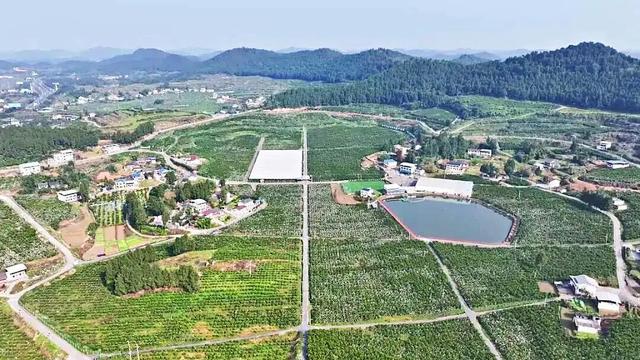 看国际木偶戏，游烟火西充！