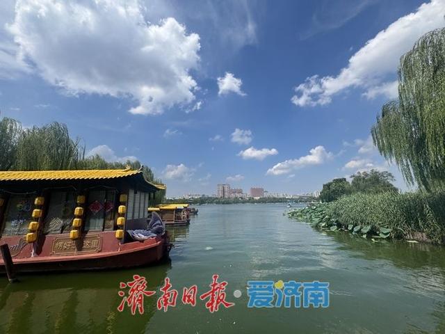 一年四季 泉在济南丨初秋大明湖：蓝天白云相映 画卷徐徐展开