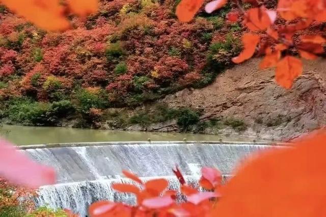 西坡镇：10月必推！最美红叶观赏地，满山红叶美得像油画！