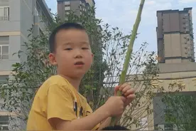 2024安徽高考落下帷幕，“社牛”家长各显神通花式接娃图片