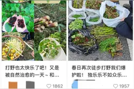 上海人最近迷上“打野”？有人呕心沥血整理攻略，专家：有风险图片