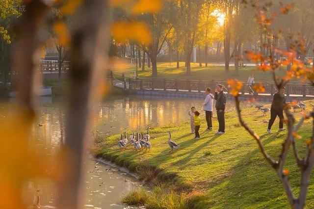 美绝！西安初冬的含金量还在上升！