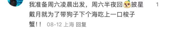 价格不比家门口菜场香，凌晨就起床，周末大堵车！一些上海人就爱去舟山、吕四、临港买梭子蟹？