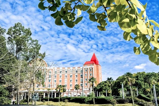 免费大放送，100间熊猫家园主题民宿酒店房间来袭