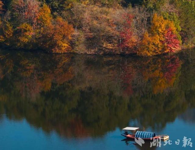 蕲春塔林的秋天，让人不愿离开