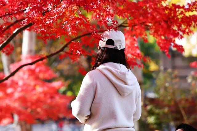 此时此刻，最美的栖霞山！