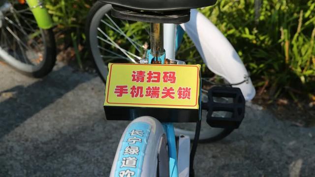 出发！可能是上海最清凉的骑行线！
