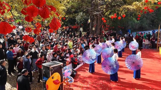 人从众嗨翻全场！带你直击大田广平银杏孝文化节～
