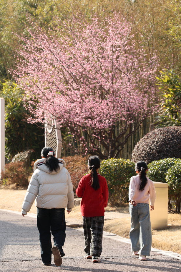 快冲！即将开遍日照！