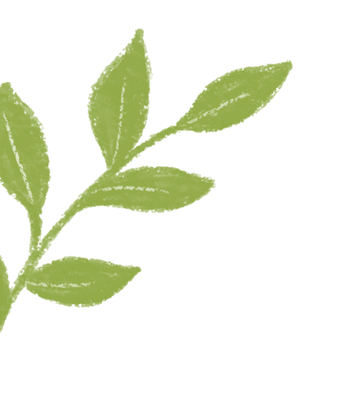 金山推出二日游！一大一小999元住玩全包