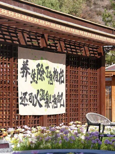 初冬的第一份暖意，藏在唐家湾里