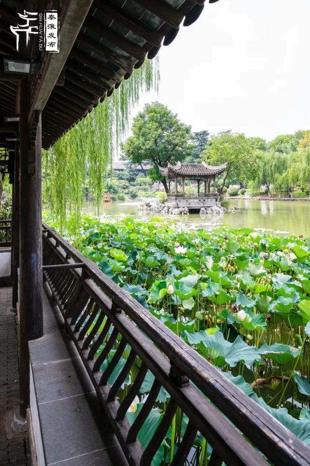 秦淮citywalk｜夏日寻凉之愚园