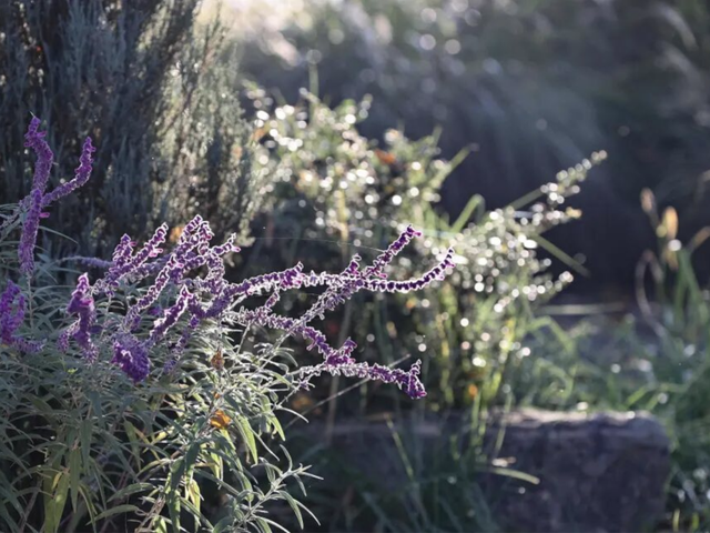 最佳季节！上海市中心也有人少景美骑行线