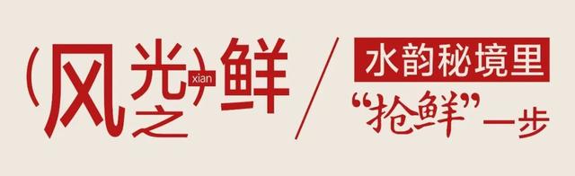 宝藏仙桃，太“鲜”啦！（采风招募）