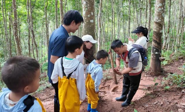 在云南样样好丨打卡新宠！藏在雨林村的诗与远方