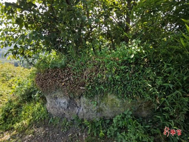 六广驿：求索中焕发新的力量