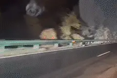 雨夜高速上，新手司机懵懂逆行，派出所民警路过救一命！交警：记12分，罚款200元图片