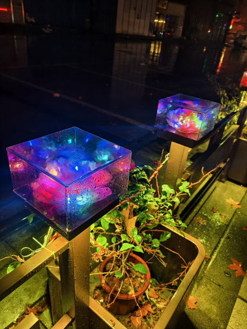 起猛了，我在洛阳被「牡丹」包围了！