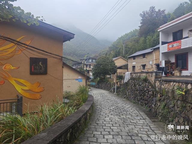 晚潮｜向野而行