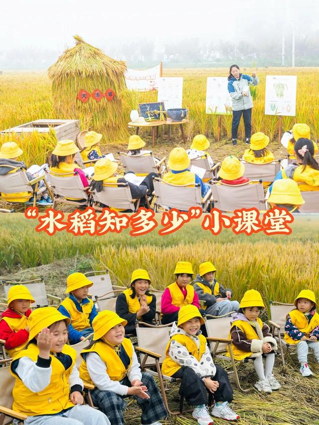 来宿城，解锁N种田园撒欢方式！