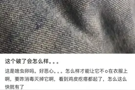 福州人注意！已大量出现！千万别碰！图片