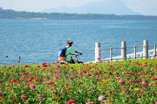 山东青岛盛夏繁花恣意绽放 海景相衬美不胜收