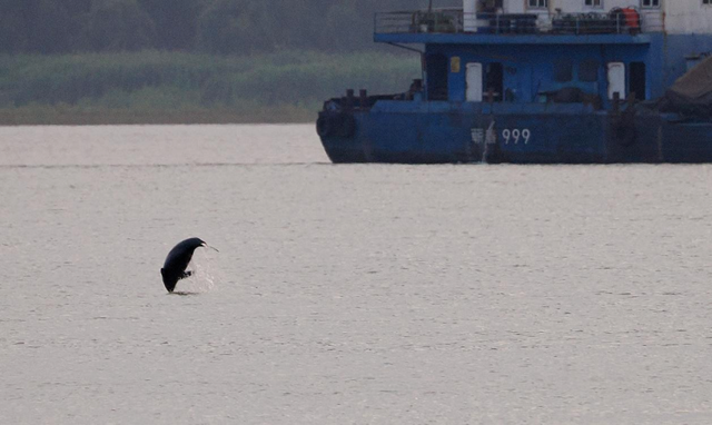 让我看看怎么回事？周末南京这里将挤满人