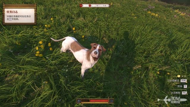 《天国：拯救2》图文流程任务全攻略