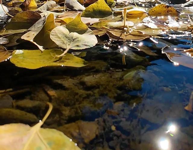 米东区：冰雪仙境免费游！哈熊沟景区的这份安全攻略请收好