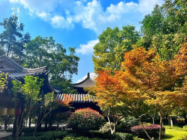 南京栖霞山 X《梦幻西游》,一起开启了金秋红叶寻梦之旅!!
