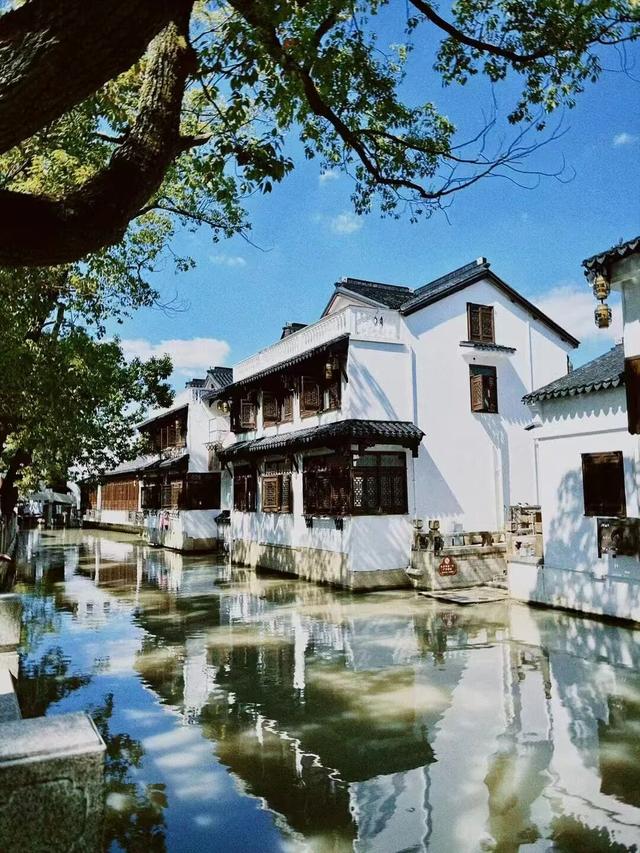 域见上海·域见奉贤｜冷江雨巷，水墨画卷里藏着的商业蓝海