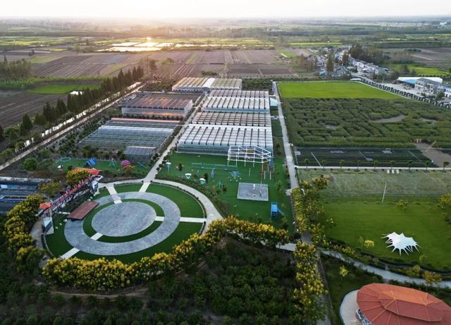 宝藏仙桃，太“鲜”啦！（采风招募）