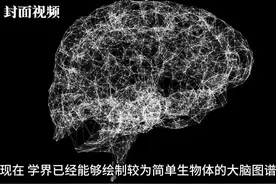 科技有狠活｜绘制小鼠大脑2-3%图谱数据量约为珠穆朗玛峰的高度？谷歌开启5年脑计划图片
