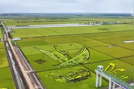 荒原变粮仓 “数”说北大荒新型农业现代化道路图片