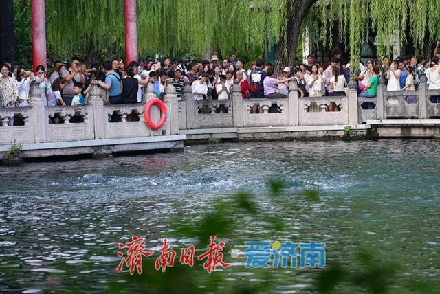 一年四季 泉在济南丨“水涌若轮”盛景醉游人