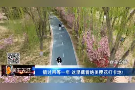 错过再等一年！这里藏着绝美樱花打卡地！图片