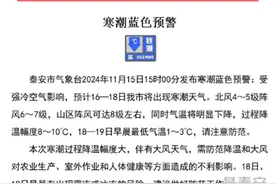 寒潮蓝色预警发布！过程降温幅度8℃到10℃ ，预计11月16日到18日泰安将出现寒潮天气图片