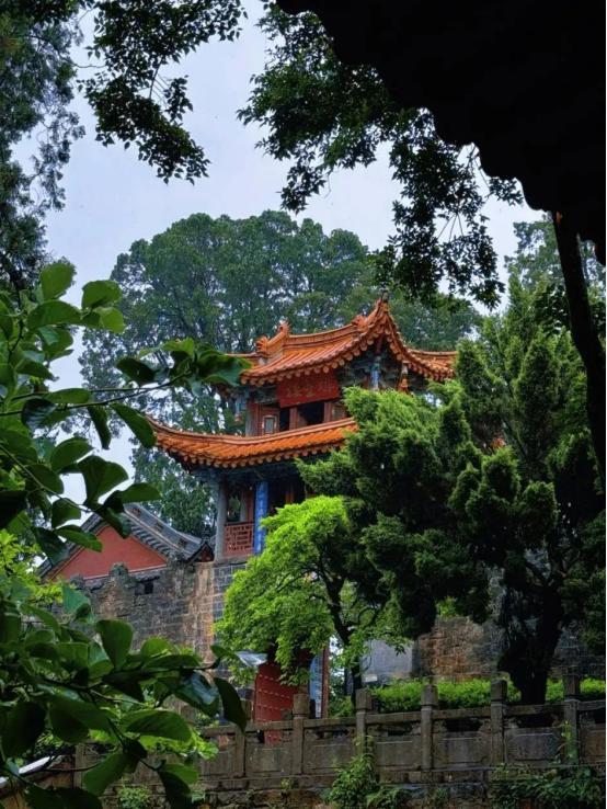 速冲！“森呼吸巴士”解锁大世博生态旅游N种快乐