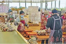 红土地育出“金疙瘩”图片