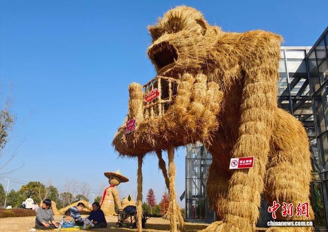 南昌冬日稻草人“值守”珍奇植物园 引客打卡