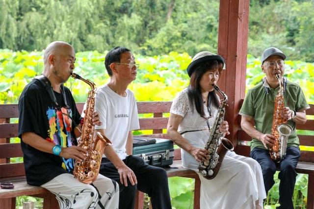 一池夏韵“荷”你有约 观山湖公园荷花盛放