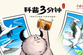 中国湿地面积排名前五有你家乡吗？图片