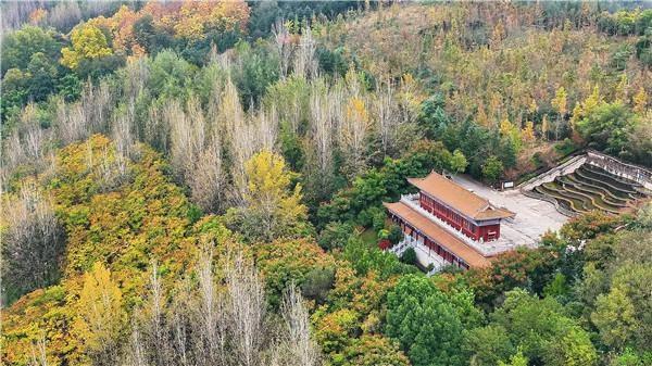 汉阴龙岗公园：初冬斑斓景 如画醉游人