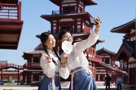 2025年“跟着电影去旅游”为何首选山东德州乐陵？图片