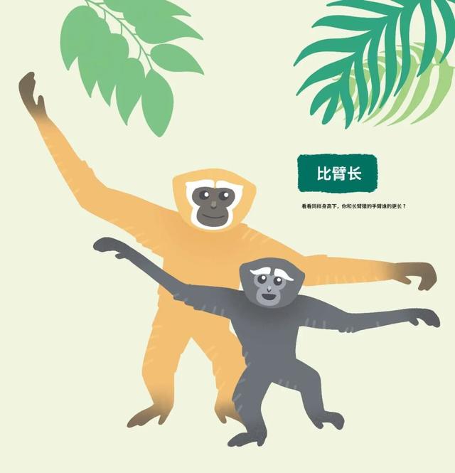 国家动物博物馆10月1日至8日均开馆，并提供免费讲解