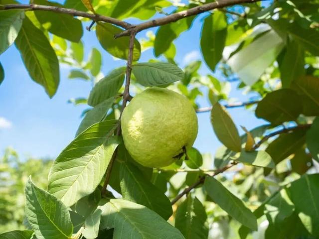 全网爆火！被里水这座浪漫岛屿惊艳到了！游玩攻略→