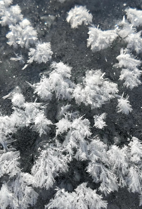 新知|半湖脂玉半湖蓝！赛里木湖冰雪秀浪漫上演