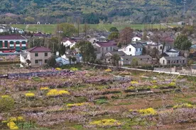 深读丨镇江乡镇1661亿元“家底”是如何摸清的图片