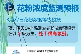 北京花粉高峰期还有4周！为何今年过敏更重？防护指南——图片