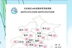 北京花粉高峰期还有4周！为何今年过敏更重？防护指南——图片